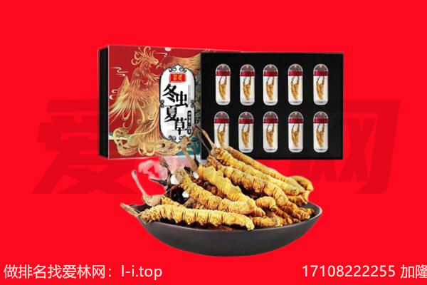 毕节市织金回收虫草.jpg